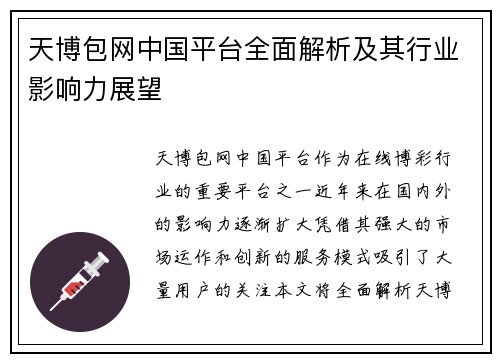 天博包网中国平台全面解析及其行业影响力展望