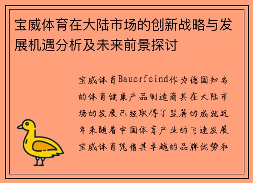 宝威体育在大陆市场的创新战略与发展机遇分析及未来前景探讨